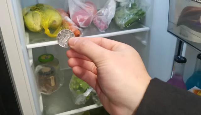 出远门时，为什么要给冰箱里放一枚硬币？插图15