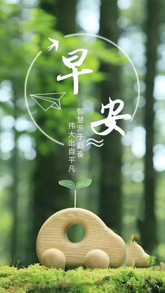 如果完全按照道德与法治课本上做人会怎样
