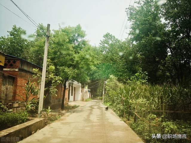 人性的阴暗面,可以有多丑陋？