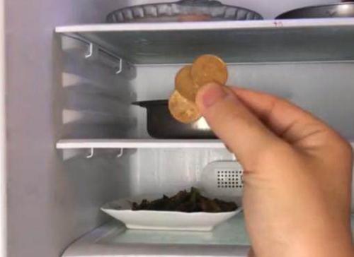 出远门时，为什么要给冰箱里放一枚硬币？插图58