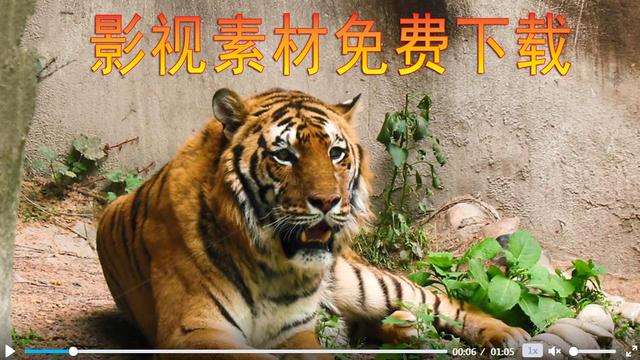 在今日头条和西瓜视频做影视剪辑,哪里有无版权的影视素材？