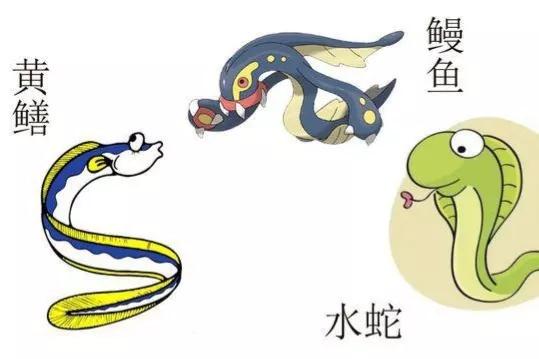 中国蛇村子思桥村，为何有人说“蛇害怕黄鳝”，黄鳝是蛇的天敌吗
