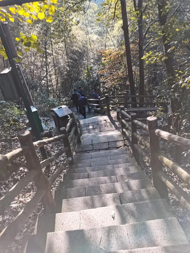 骆琦家庭背景:一个中年丧夫的女人，十年没有再找，她是怎么熬过来的