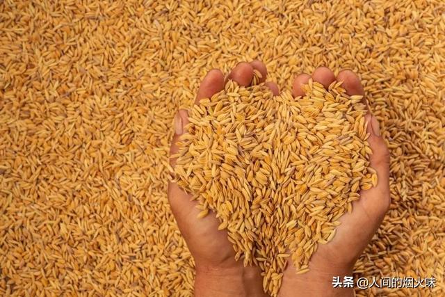 什么食品可以放10年以上还可以吃？插图34