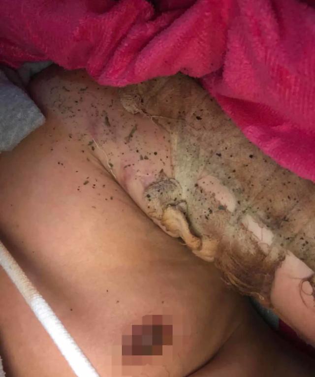 人狗奇缘2在线云播极速播放:头条上那些日入几百几千的作者，他们是不是真的赚到那么多的钱？