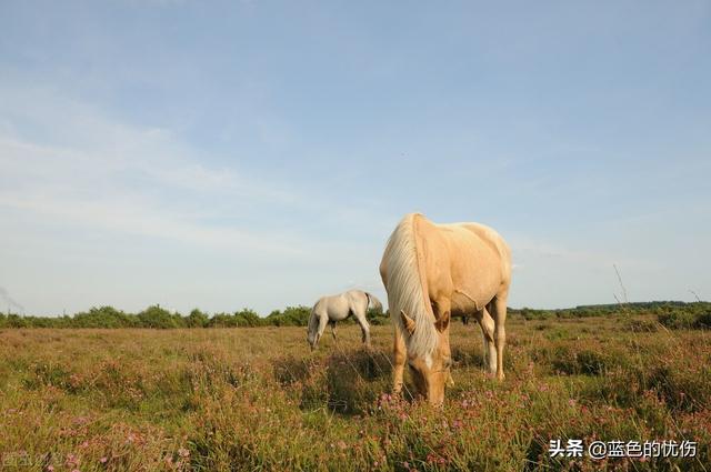 哪个生肖赚钱比较困难哪个生肖赚钱比较快