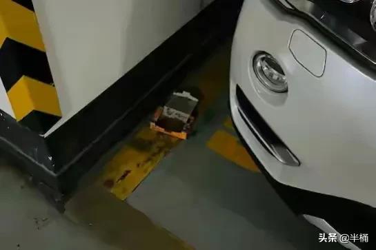 跳蚤怕什么天气:跳蚤怕什么气味 跳蚤怕水啊还是怕高温啊？
