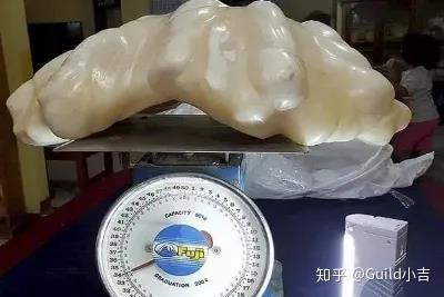 祖母绿照片,珠宝金属材质有什么冷知识？