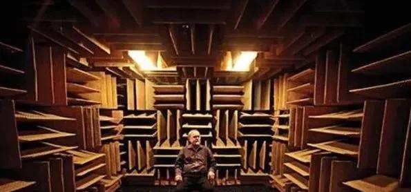 为什么有人说很少有人能在绝对静音无声的密室里撑过1小时？插图64