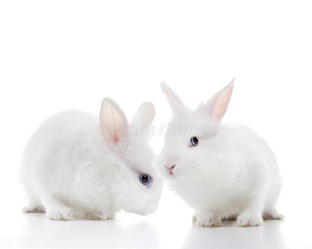 家里干净整洁风水好,怎么样把家里都收拾得干干净净的？