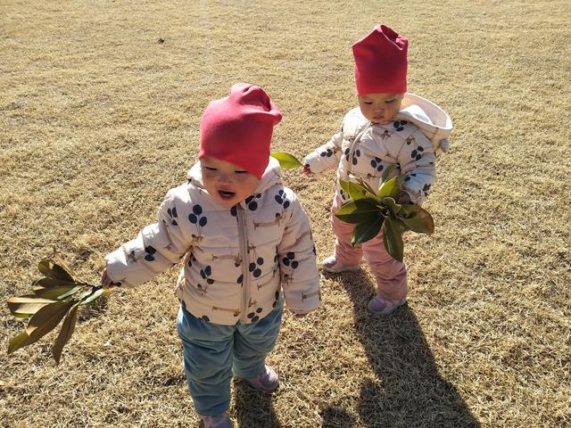 有过胎停育经历的姐妹们，你们后来顺利怀孕，生下来了吗？插图15