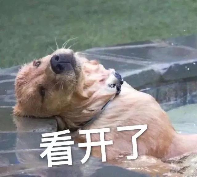 上一届常委:曾经风光无限的女领导，现在退线都没人理她。其他单位也一样吗？