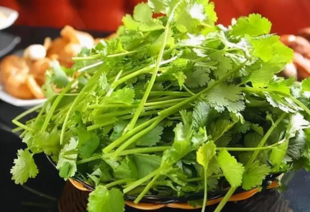 为什么德军装扮英军不容易被认出来，而日军装扮八路军总是露馅？插图79