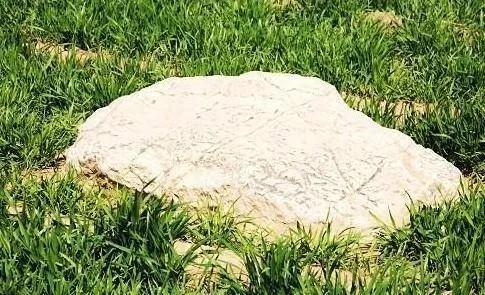 号称全球最矮的山,高度仅有0.6米,为什么说没有人敢登呢？