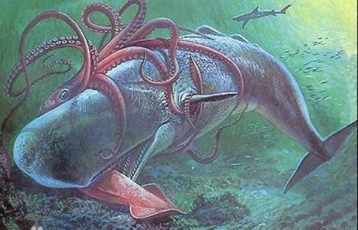 抹香鲸是比虎鲸还大的齿鲸,它是否有天敌呢?