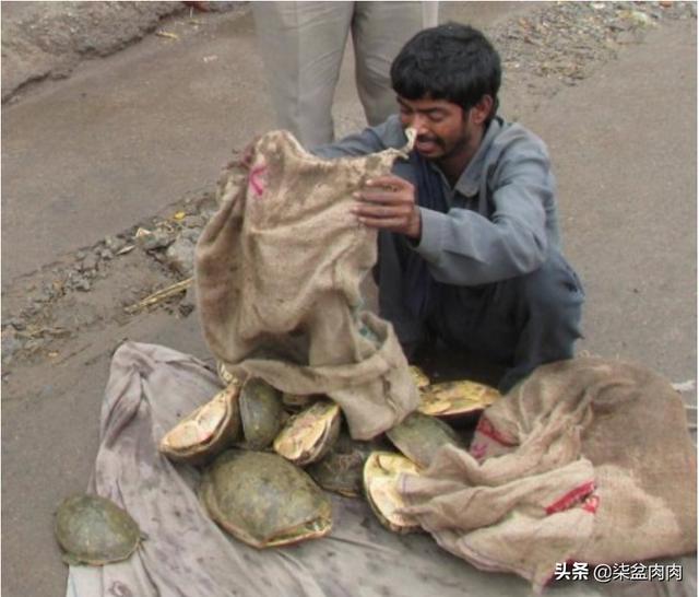 印度a八壮阳药，《我不是药神》中印度的神药为什么那么厉害，印度制药很厉害吗