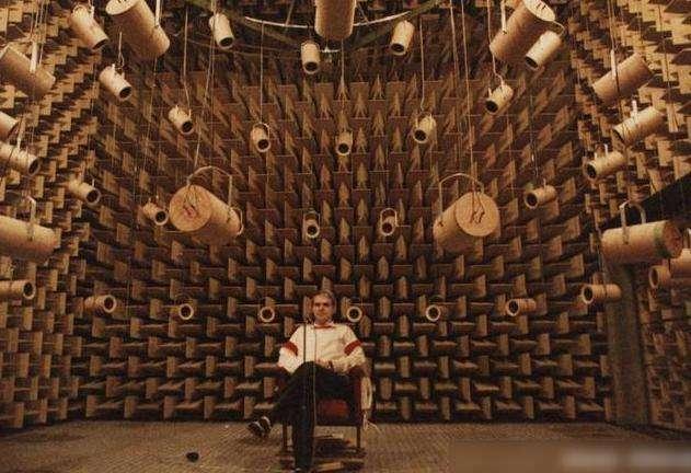 为什么有人说很少有人能在绝对静音无声的密室里撑过1小时？插图60