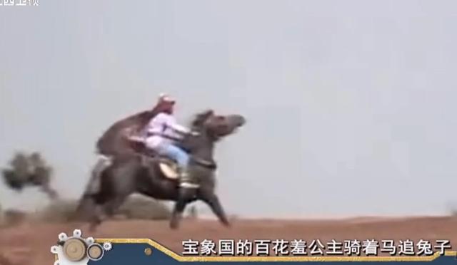 何晴四大名著:能说一说经典82版《西游记》的幕后故事吗