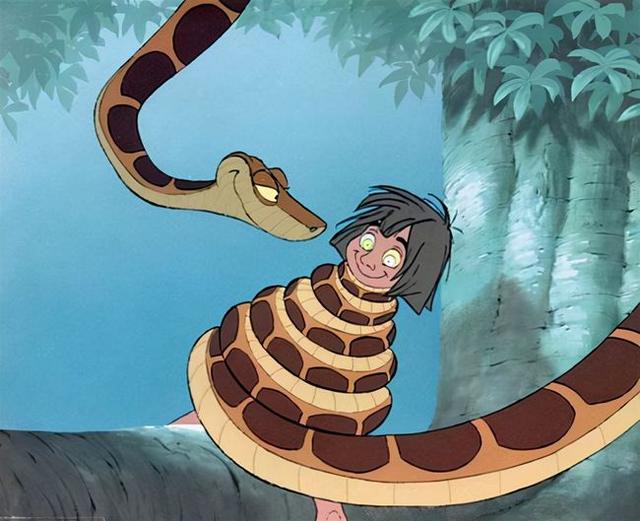 世界上最大的蛇吃人:你们平生见过或是听过，最大的蛇有多大？
