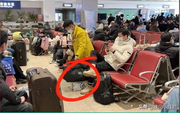 带宠物鸭扫大街萌坏路人:河北两女孩被4条恶犬围攻，狗主人就在旁边观看，这事你怎么看？