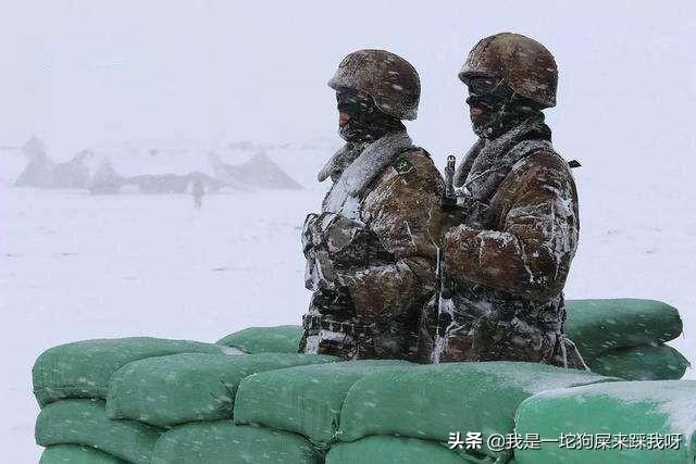 中国猎犬论坛大部队追兔:既然在中国有日吹、美吹等，那么在其他国家有没有“中吹”？