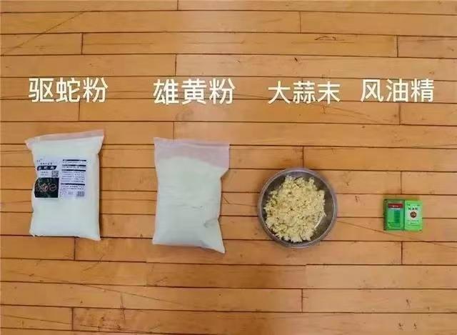 黑曼巴蛇的天敌:蛇最怕什么？在野外碰到蛇该怎么做呢？