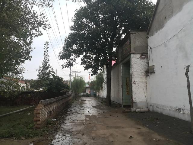 在农村夜间敢不敢一人出行