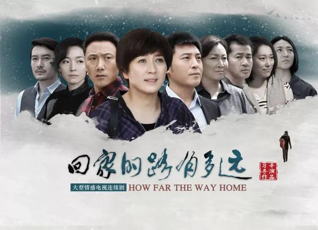 第七部《回家的路走多远》第六部《俺娘田小草》第五部《岁岁年年柿柿