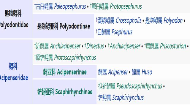 美国白鲟鱼长江白鲟:长江白鲟被宣布灭绝，这是人类的过错吗？