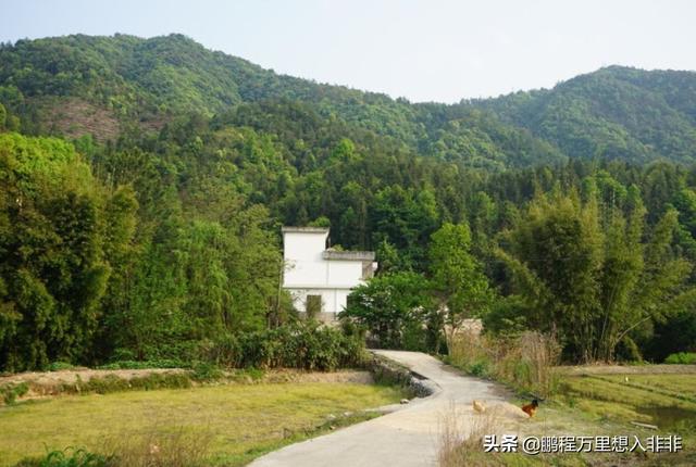 南京艾贝尔宠物医院鼎新路:为什么越来越多的人后悔在农村建房，假如是你，该怎样选择？