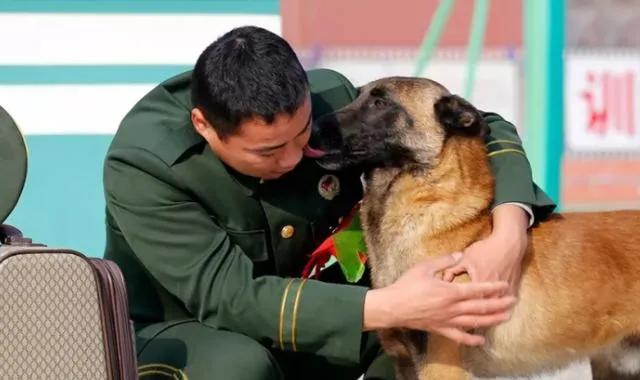 军犬训练:怎么当特种部队的军犬训导员？
