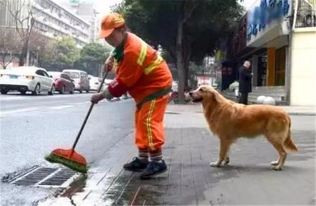 环卫工带宠物鸭扫大街萌翻网友:很多一线环卫工人，又脏，又累，挣钱又少，对此你有什么看法？