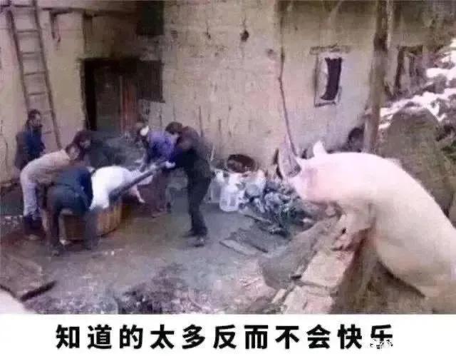古代百姓最幸福的三个朝代是哪三个朝代？大汉、大唐、大宋上榜？