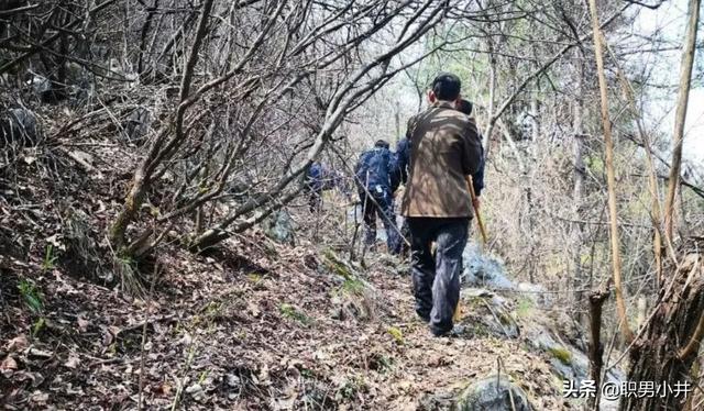 湘西奇闻异事小说，为什么农村的老人说：没有虫鸣的深山，不要只身前往