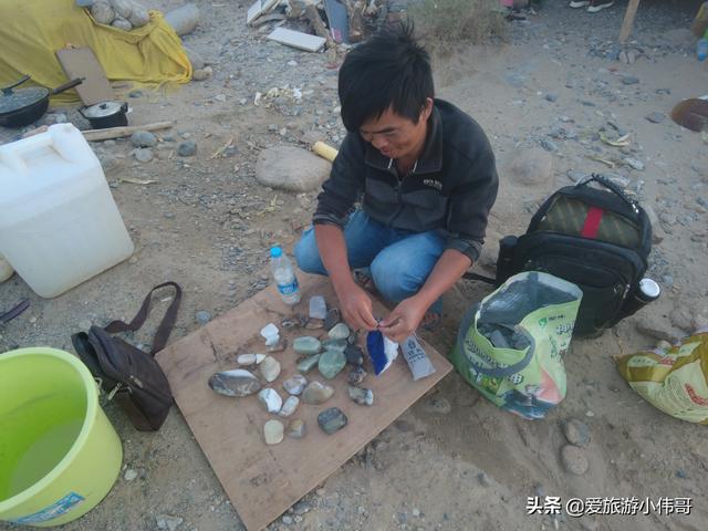 新疆的候鸟有哪些:新疆棉花质量好 新疆都有什么地方可以捡石头？现在还来得及吗？
