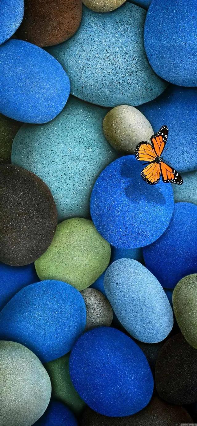 那些买iPhone12 mini的用户，如今用的怎么样？插图15