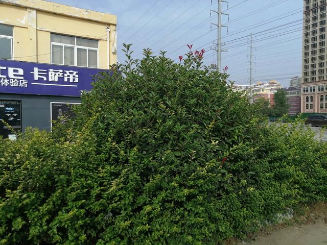 人到中年一事无成,难道要打工到老吗？