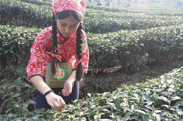 雅女 雅鱼 雅雨:全国哪里的妹子最漂亮，最适合做老婆，你最喜欢哪里的？