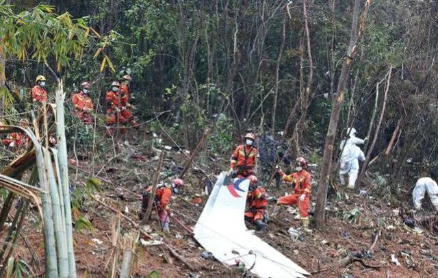 消防员救狗跳粪坑:河南南阳一只小狗陷火场，狗妈妈嚎叫求救，你怎么看这件事？