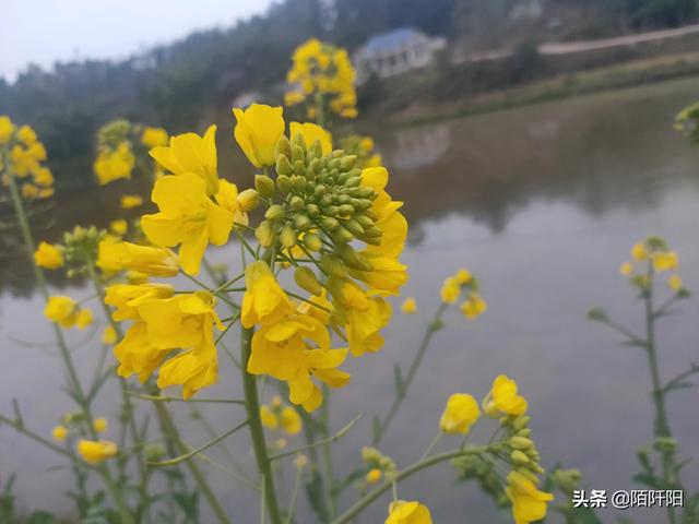 送女朋友保平安的礼物,平安夜你们都送女朋友什么？