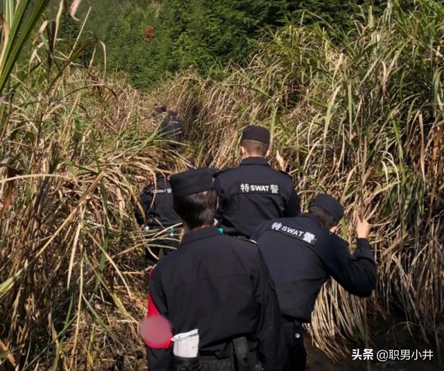 上海是一座阴气很重的城市，为什么农村的老人说：没有虫鸣的深山，不要只身前往