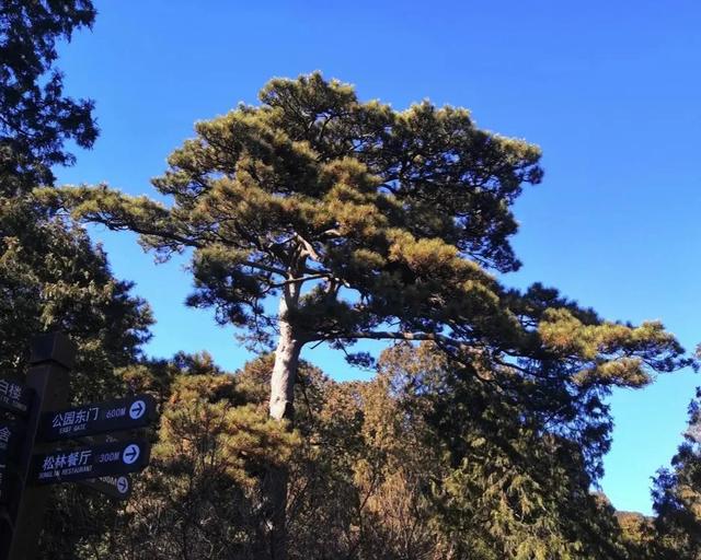 刚从基层班组长提拔为中层干部,感觉自己没有威信,要从哪些方面尽快建立管理威信呢？