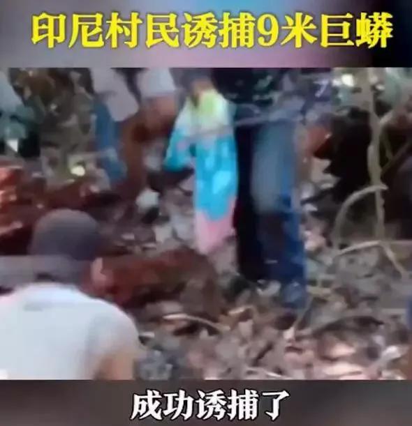 抓了只狗母蛇说说:听说捕蛇人有“三不抓”，是什么意思？为什么会有这种说法？