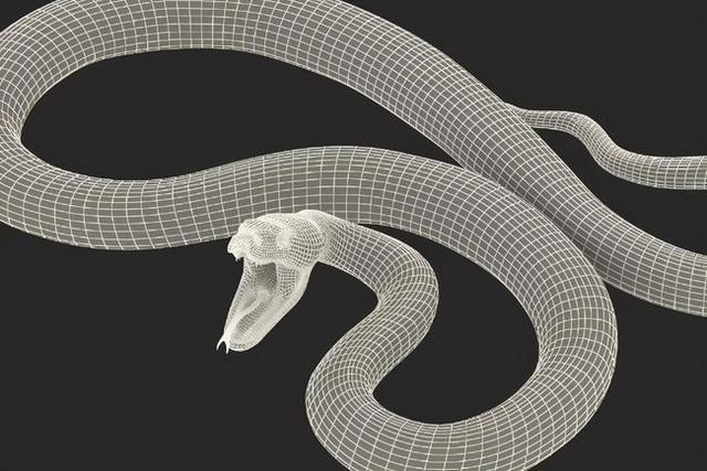 中国巨蛇，中国哪个地方有千斤大蟒蛇