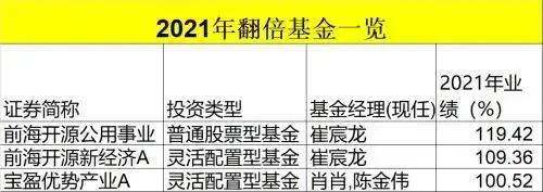 国泰新能源汽车基金，支付宝买基金真的会盈利吗