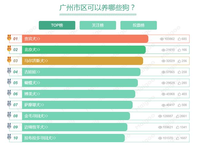 狗广州领养狗狗:在广州市内可以养什么犬？推荐养什么犬呢？