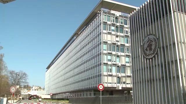 关于这个变异毒株，有没有人怀疑过它是另外一种病毒