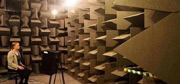 为什么有人说很少有人能在绝对静音无声的密室里撑过1小时？插图15