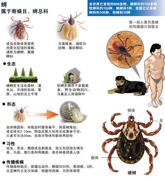 猫蜱虫叮咬后伤口图片:河南信阳3人因蜱虫病逝，曾为去世者穿寿衣，夺命蜱虫如何自救？