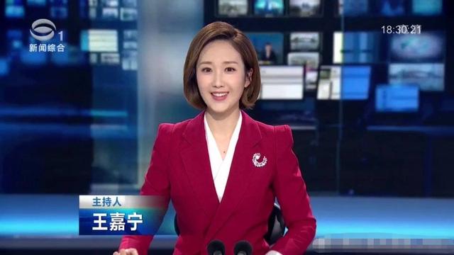 撒贝宁照片:央视美女新星王嘉宁会不会成为撒贝宁的接班人？